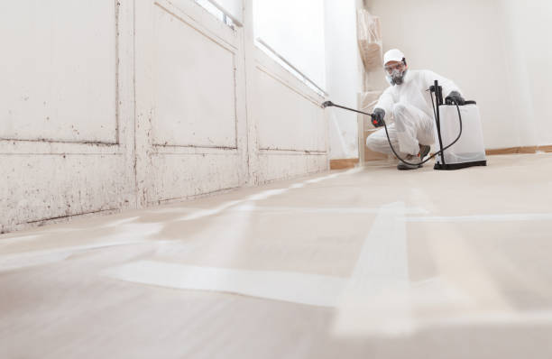 24/7 Emergency Mold Testing experts in Georgetown, CO